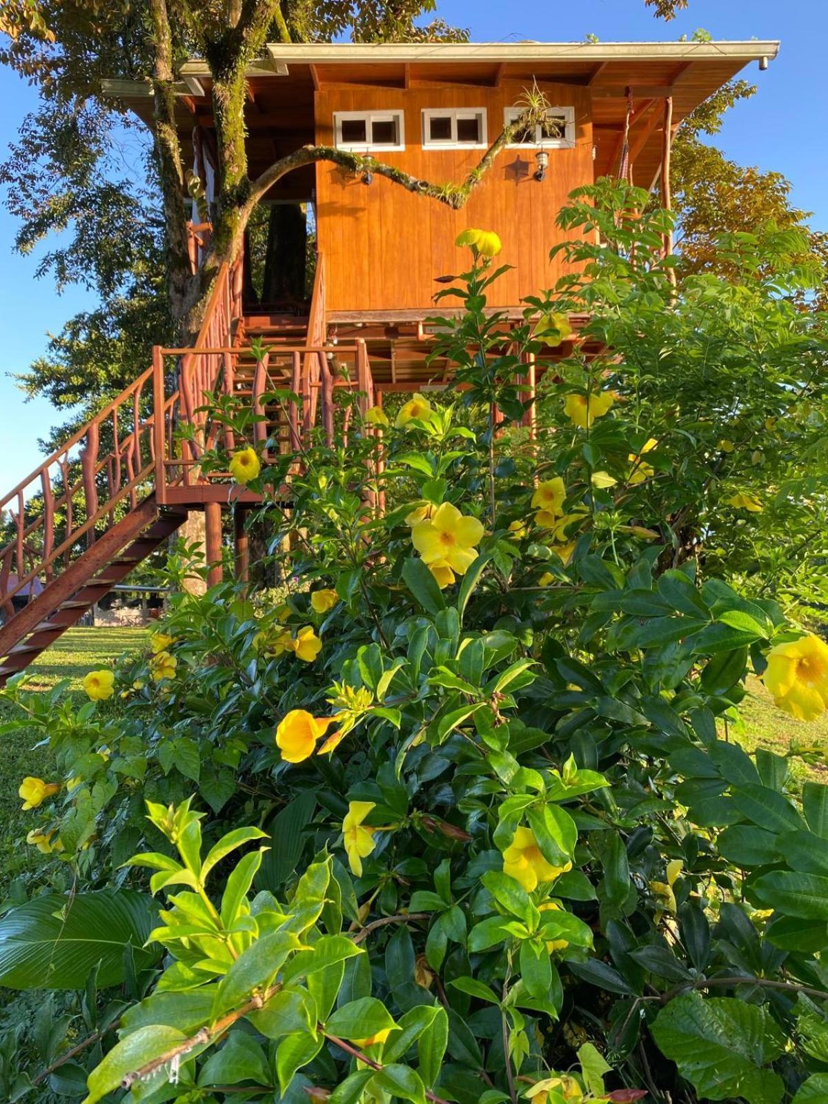 Hilamito Lodge Tela Exteriér fotografie